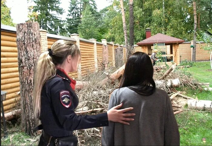 Девушку судили за спил деревьев на собственном участке: история дошла до Верховного суда