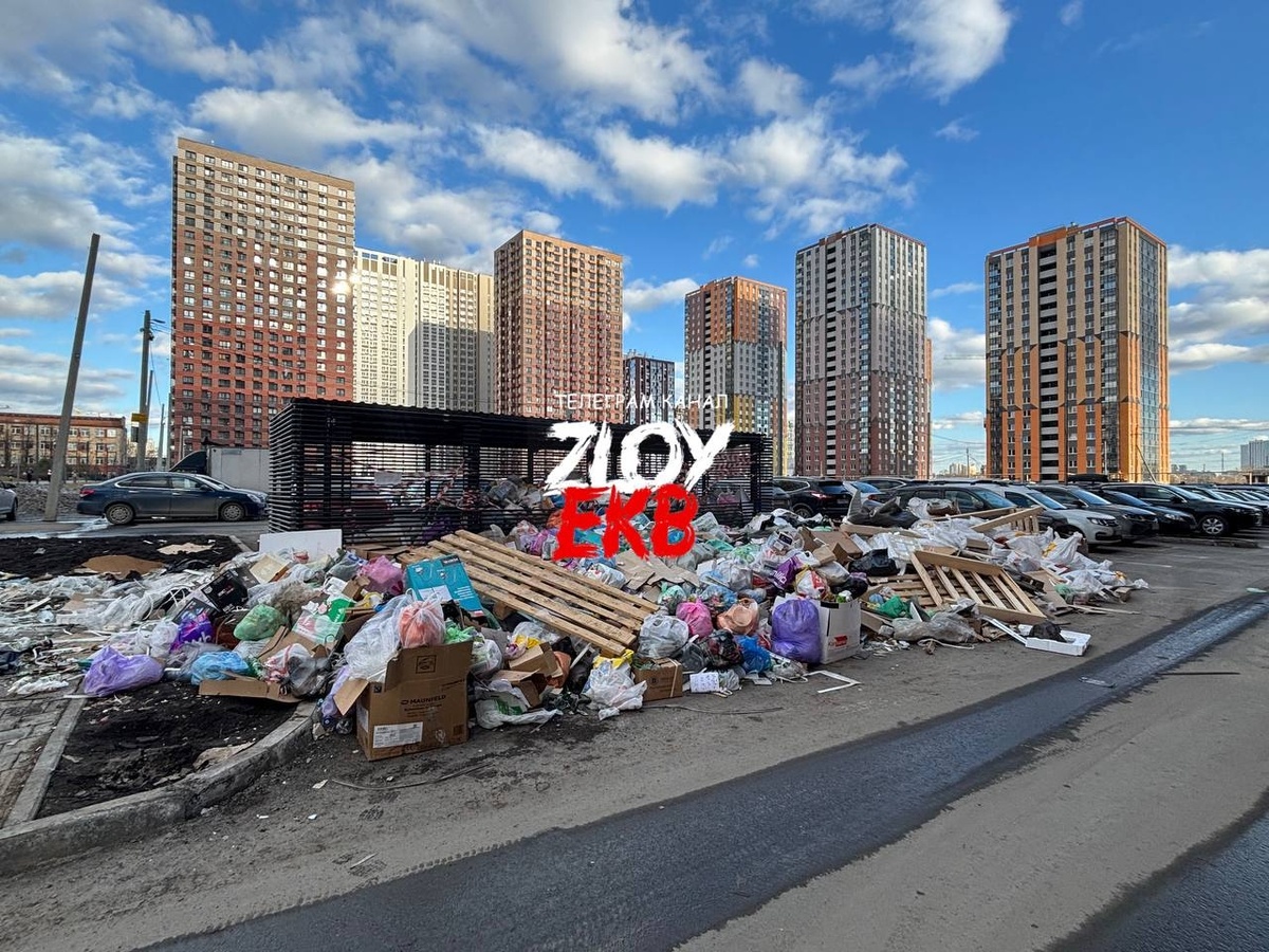    Telegram канал "Злой Екатеринбург"