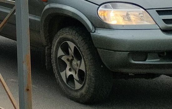    Фото: ИА «Орелград»