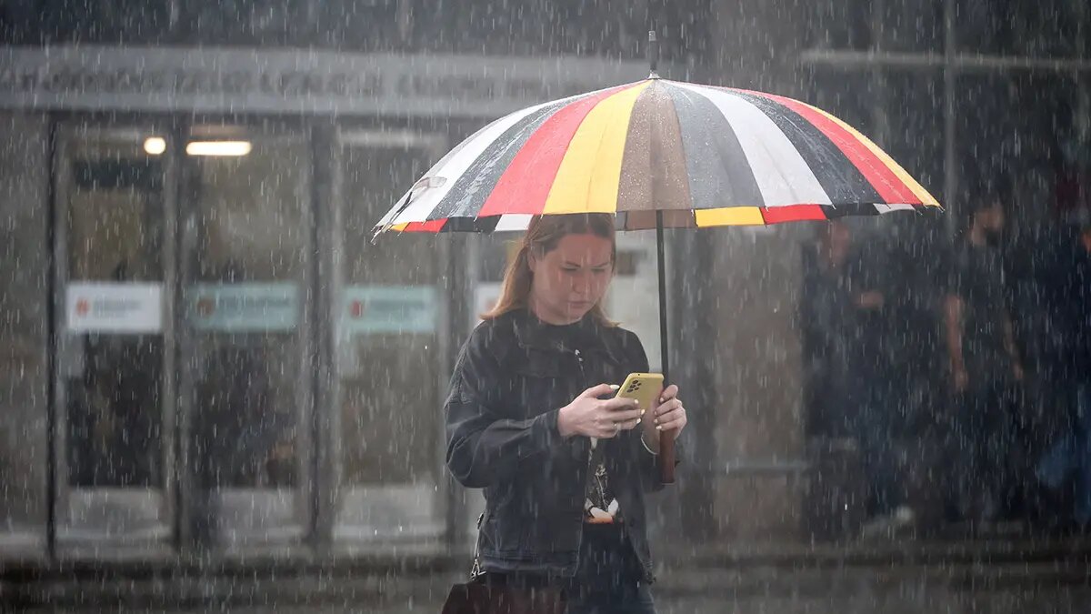    Источник: vm.ru/ Алла Бородина