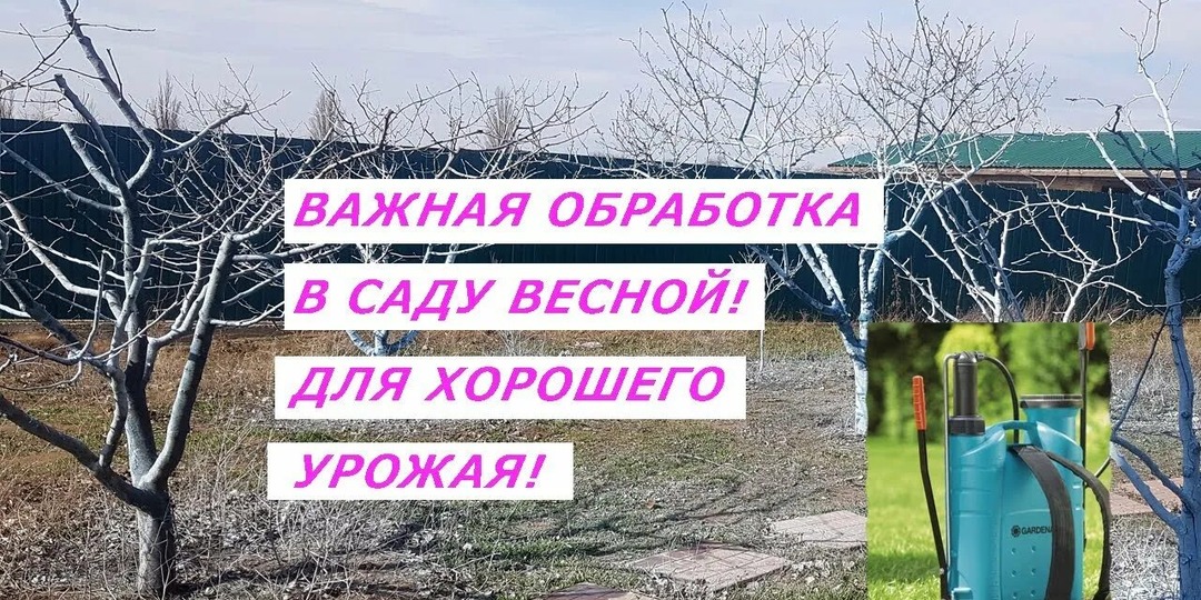 Что нужно делать в огороде весной? Пошаговый план на март, апрель и май