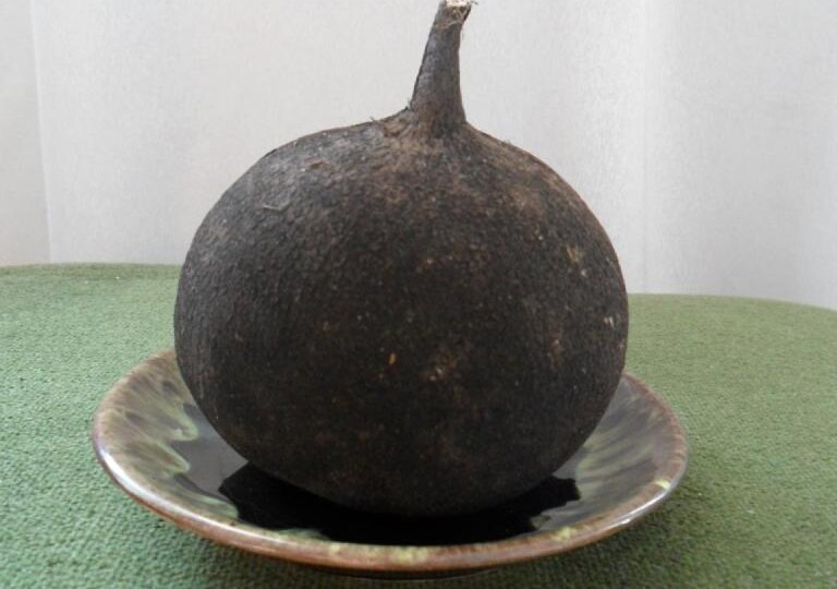 О пользе редьки