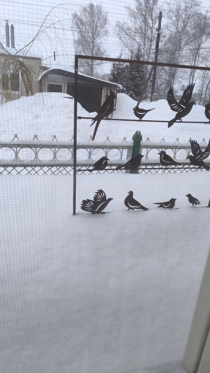 Зимой ее завалило болше чем на половину, верхний левый угол палки торчат.