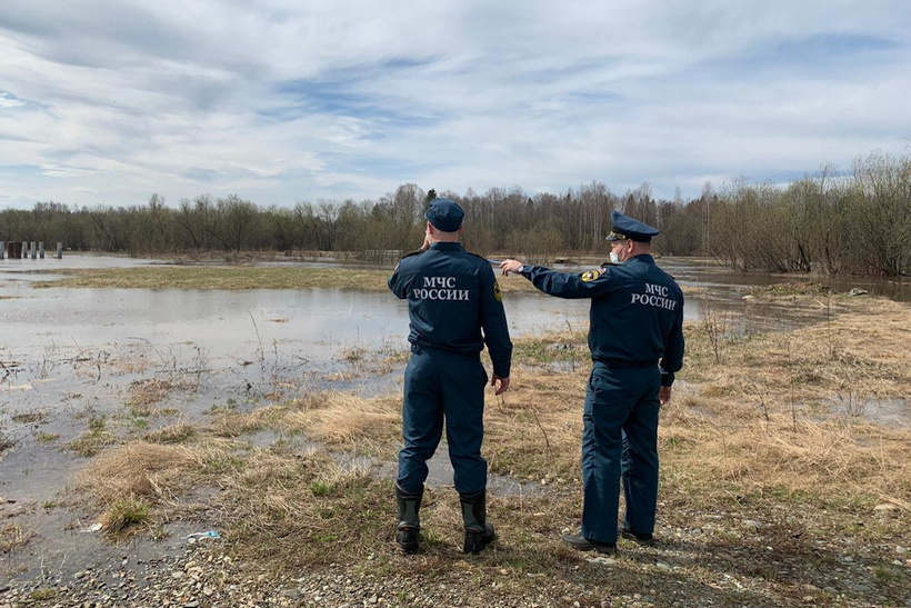 Архинвое фото