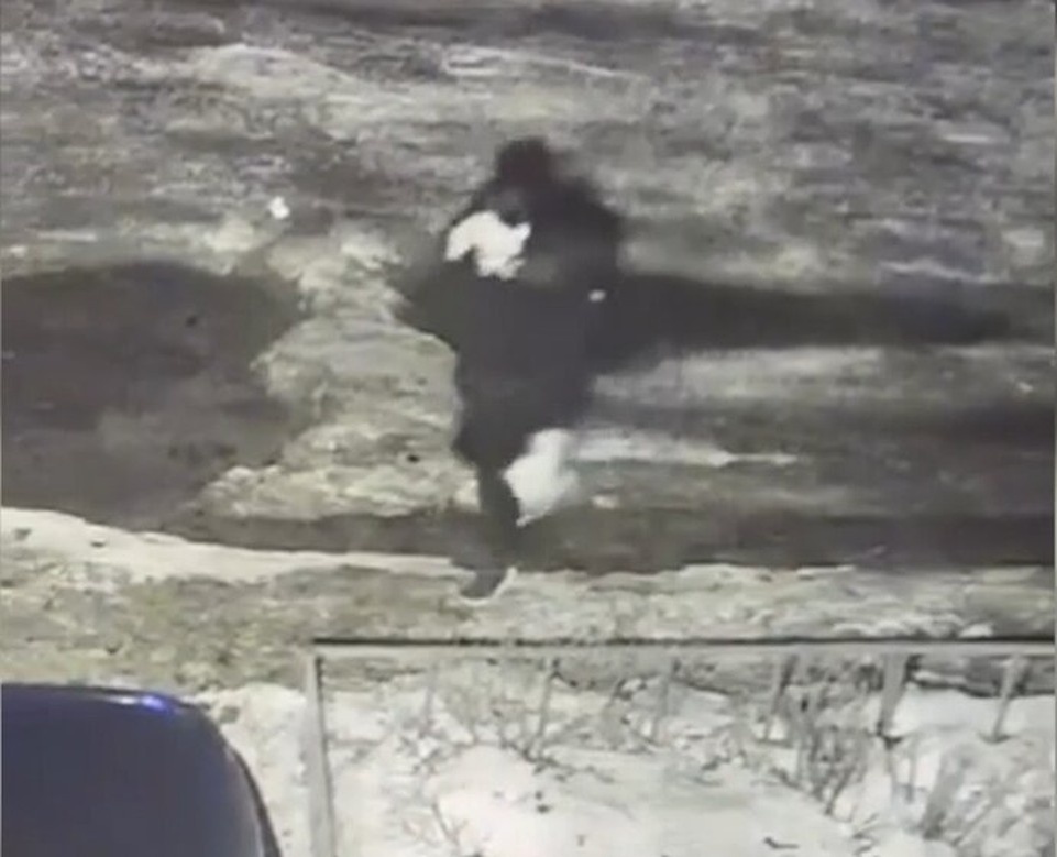    Фото Отдела информации и общественных связей УМВД России по Липецкой области