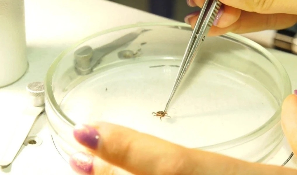    img_20260327_120914_283