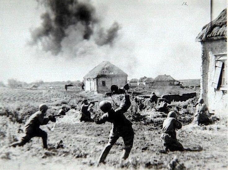 Фото взято из открытых источников 