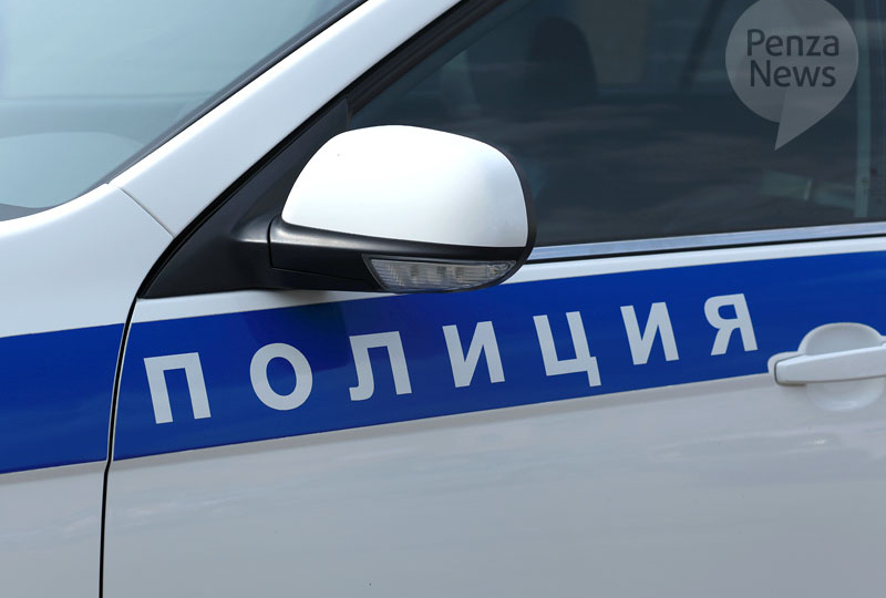 В Пачелмском районе мужчина угрожал сожительнице убийством, возбуждено уголовное дело