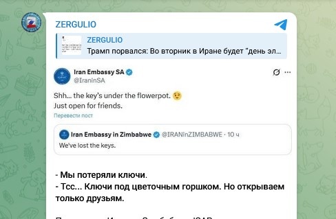    Фото: Скриншот Telegram/ZERGULIO