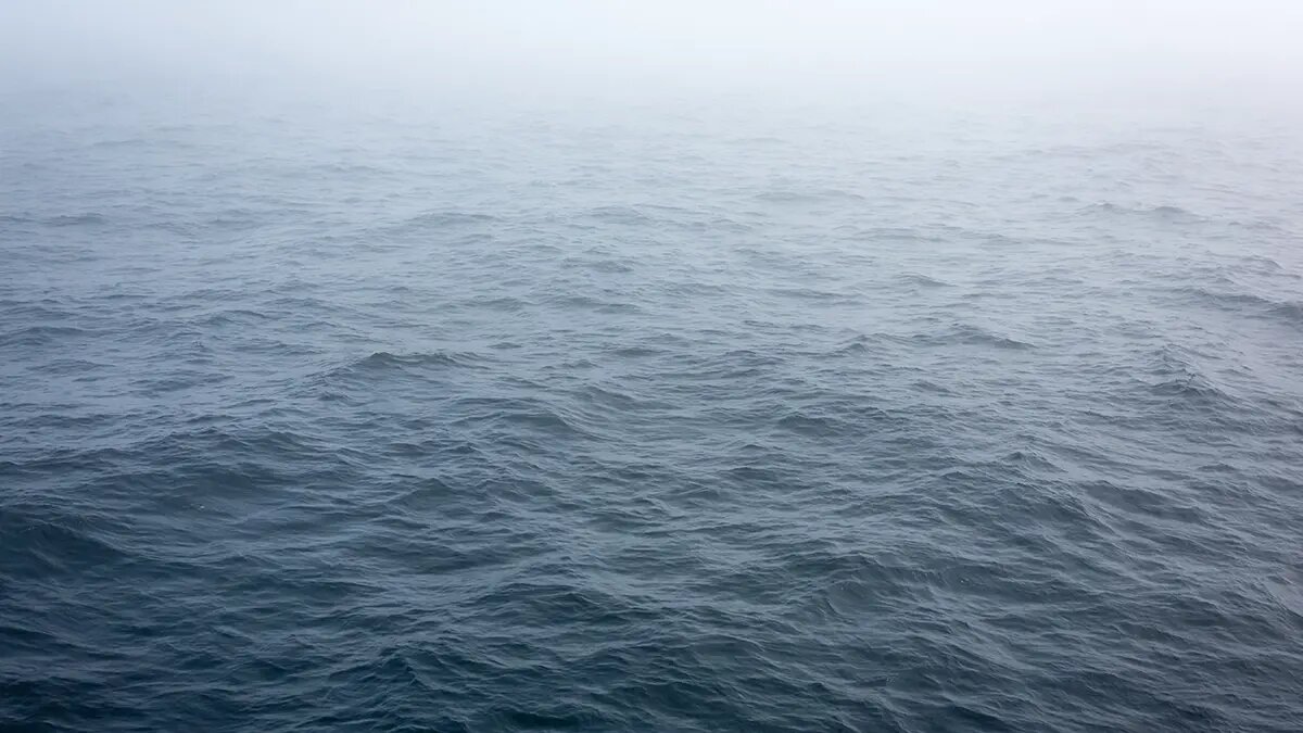    Источник: vm.ru/ Михаил Горбунов