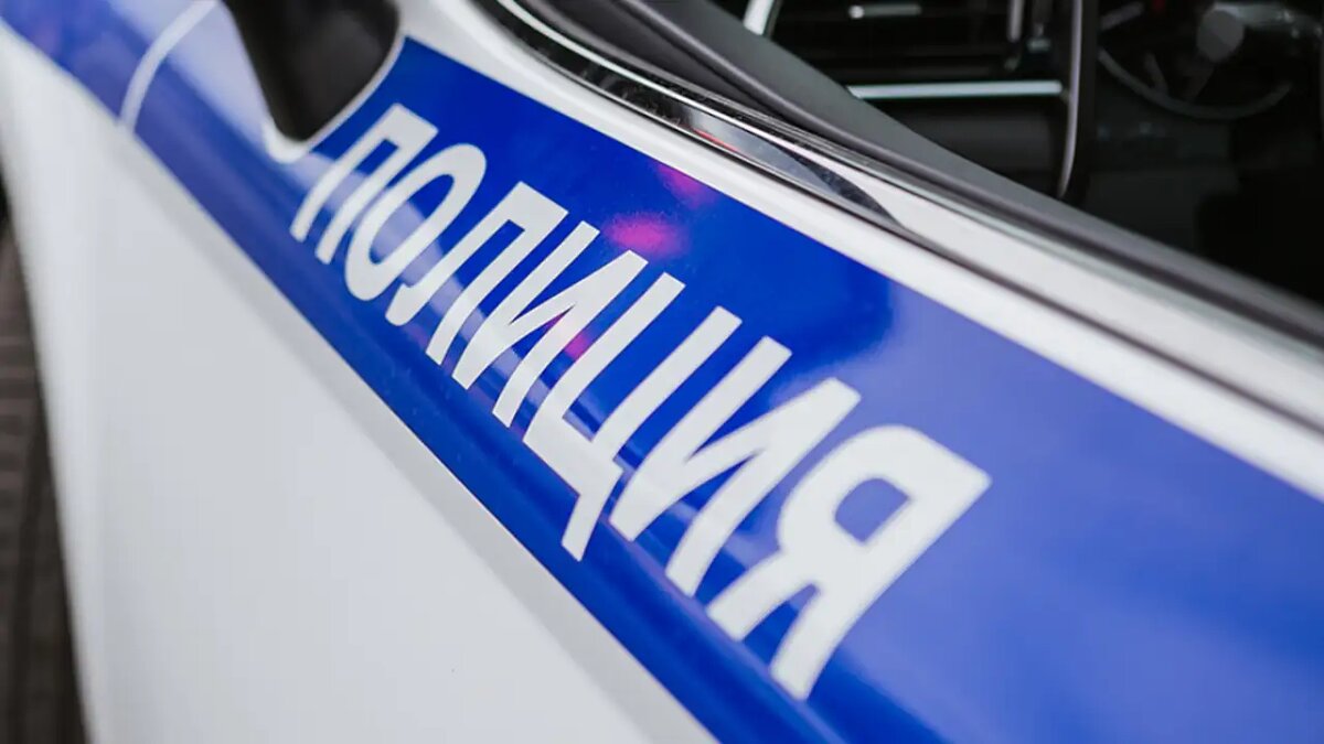    Полиция. © Портал «МВД Медиа»