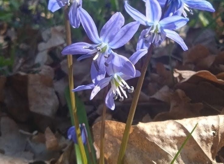 Открытка своими руками.