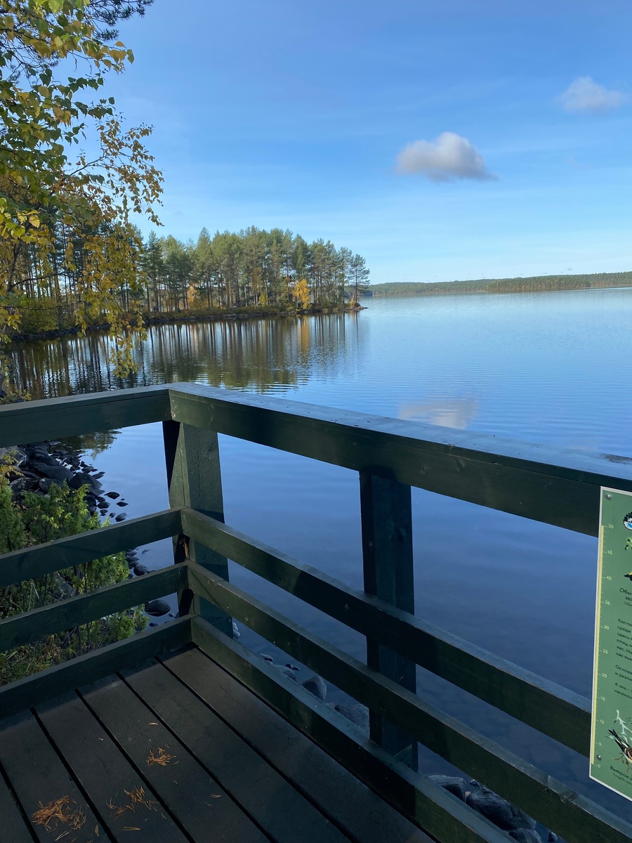 Заповедник Костомукшский