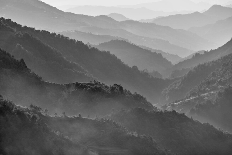 Дневничковое