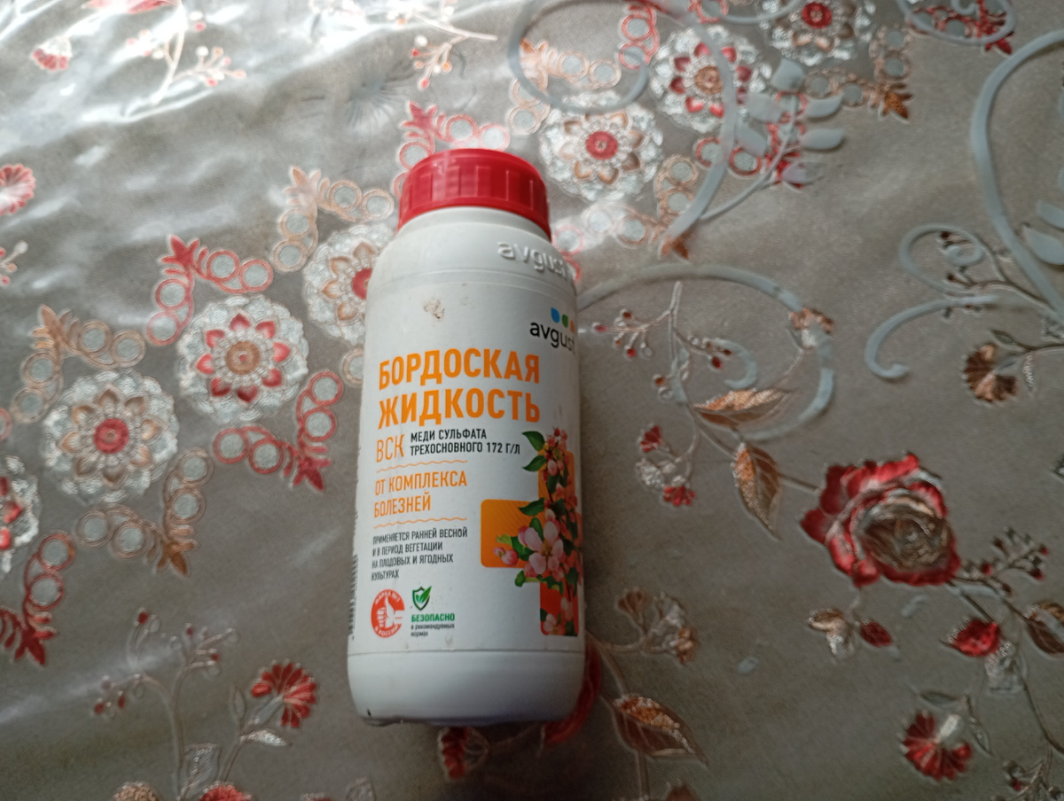 Фото автора.