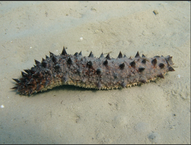 Фото из открытого доступа