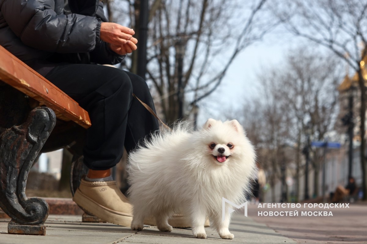 Фотограф: Ярослав Чингаев