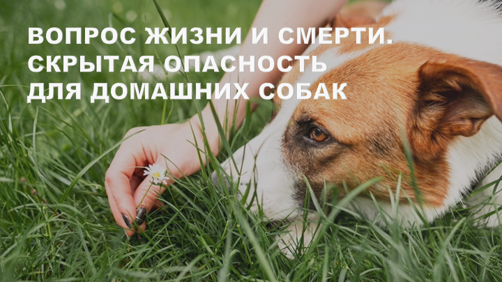 freepik