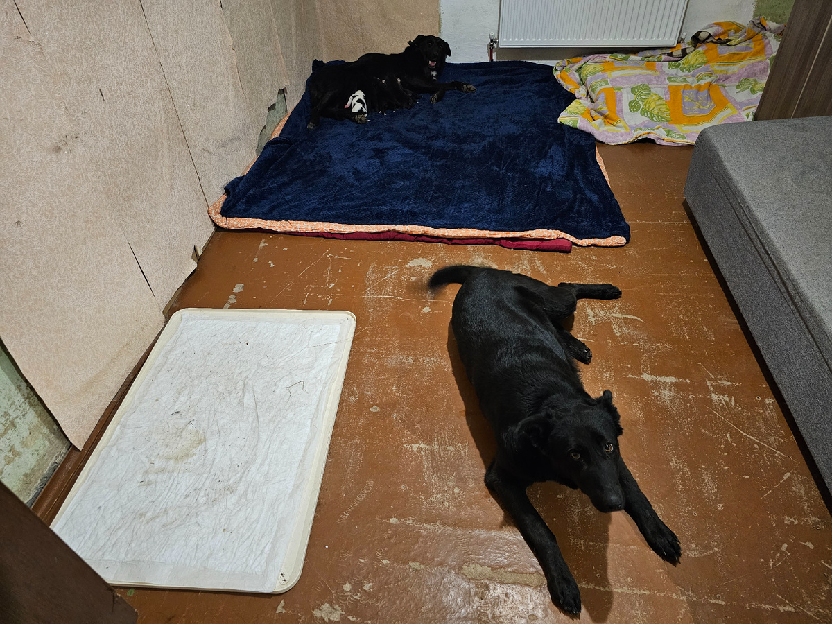 Фото автора. Аля вот вот родит и мама Миля.