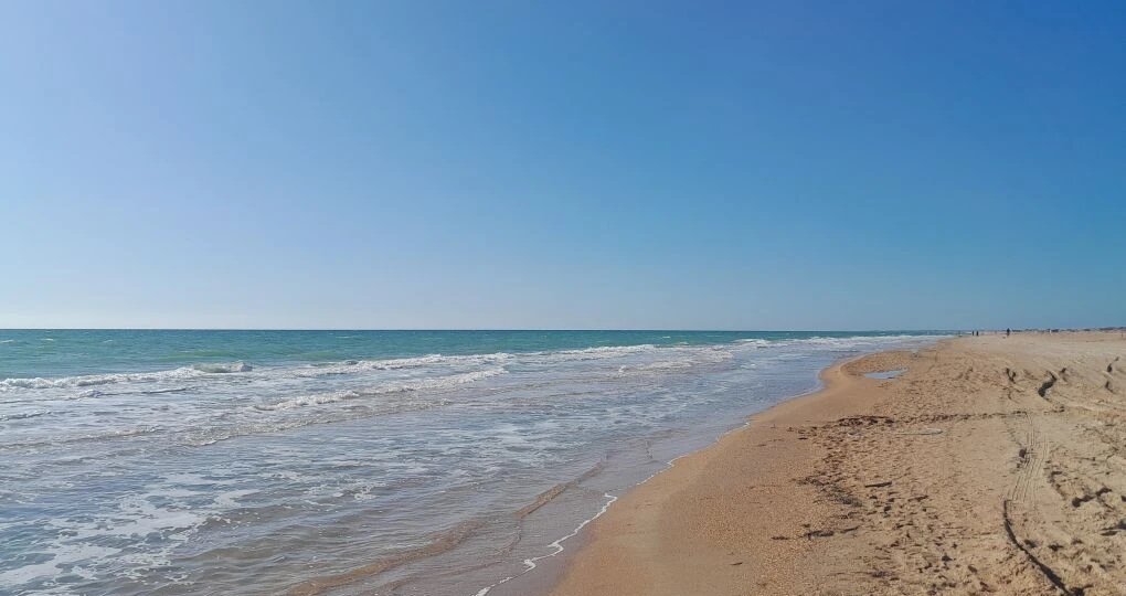 Вакансии Анапы на сезон 2026. Кто пишет отзывы о работе в отелях на сайтах-отзовиках?