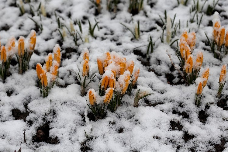    АиФ/ Александр Батура