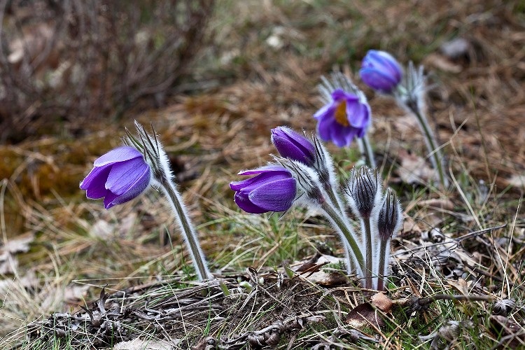    АиФ/ Александр Батура
