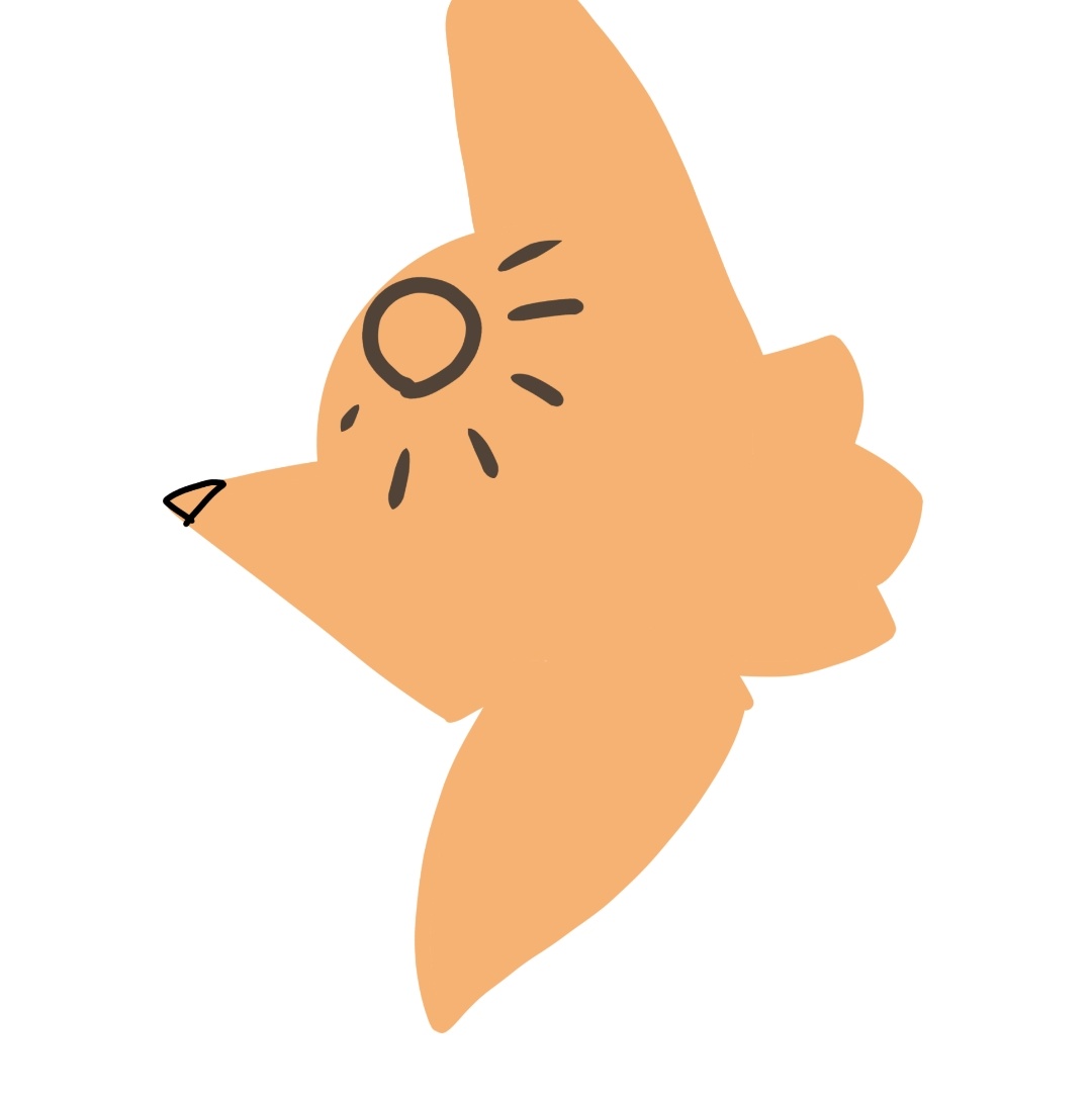 (у него нет одного глаза)