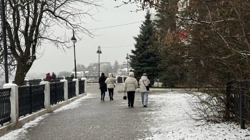    Фото progorod43.ru