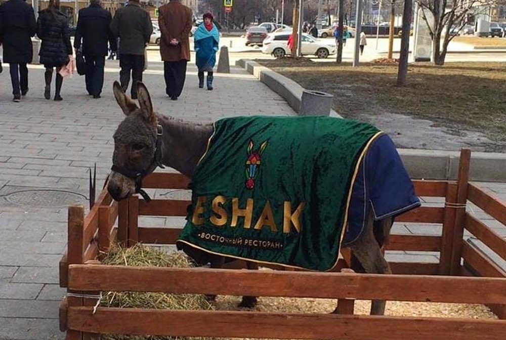 Фото с просторов интернета