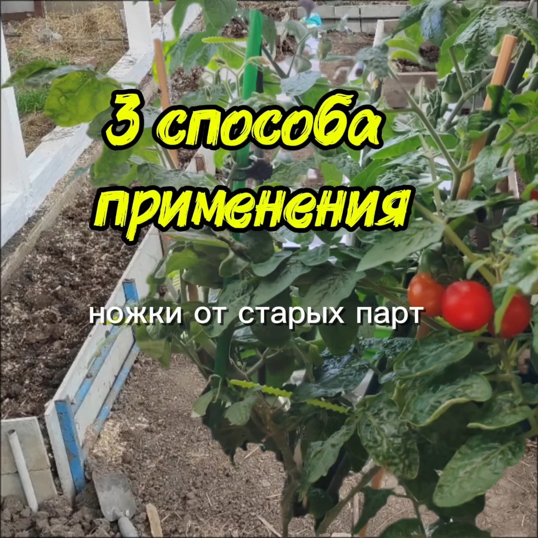 Грядка в теплице