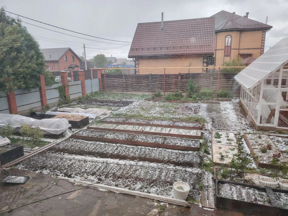 Похолодания и снег до июня - частые гости в Сибири