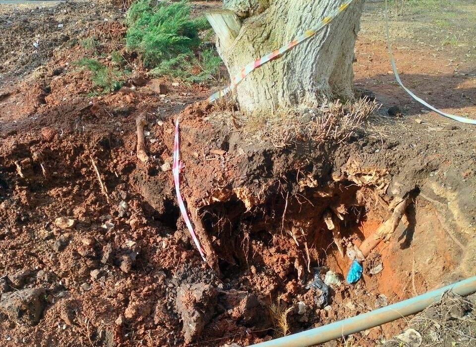    Раскопали и бросили: В центре Оренбурга участок после поиска протечки так и не привели в порядок