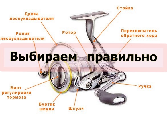 Катушка для рыбалки: как выбрать без ошибок? Полное руководство с расшифровкой всех обозначений