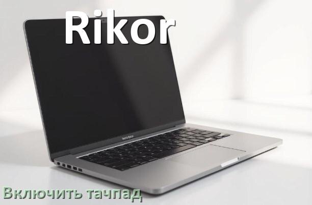 
Как включить тачпад ноутбука Rikor на Windows 10 и 11