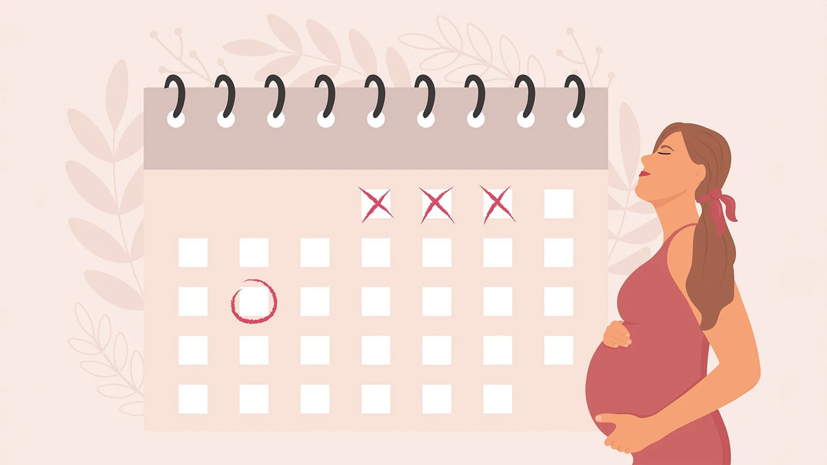 как узнать дату рождения ребёнка