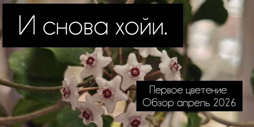 Новое видео под кофеек