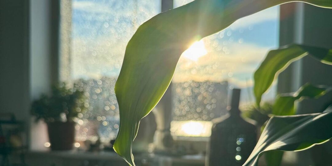 АНОНСЫ БЛИЖАЙШИХ СОБЫТИЙ