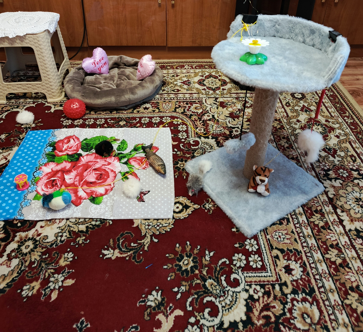 Фото автора   