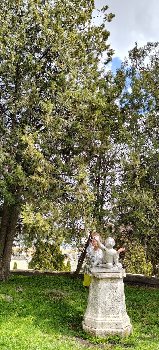 Мой любимый ребёнок в Ессентуках