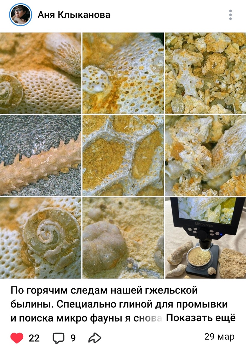 Скрин, со стр. Ани Клыкановой