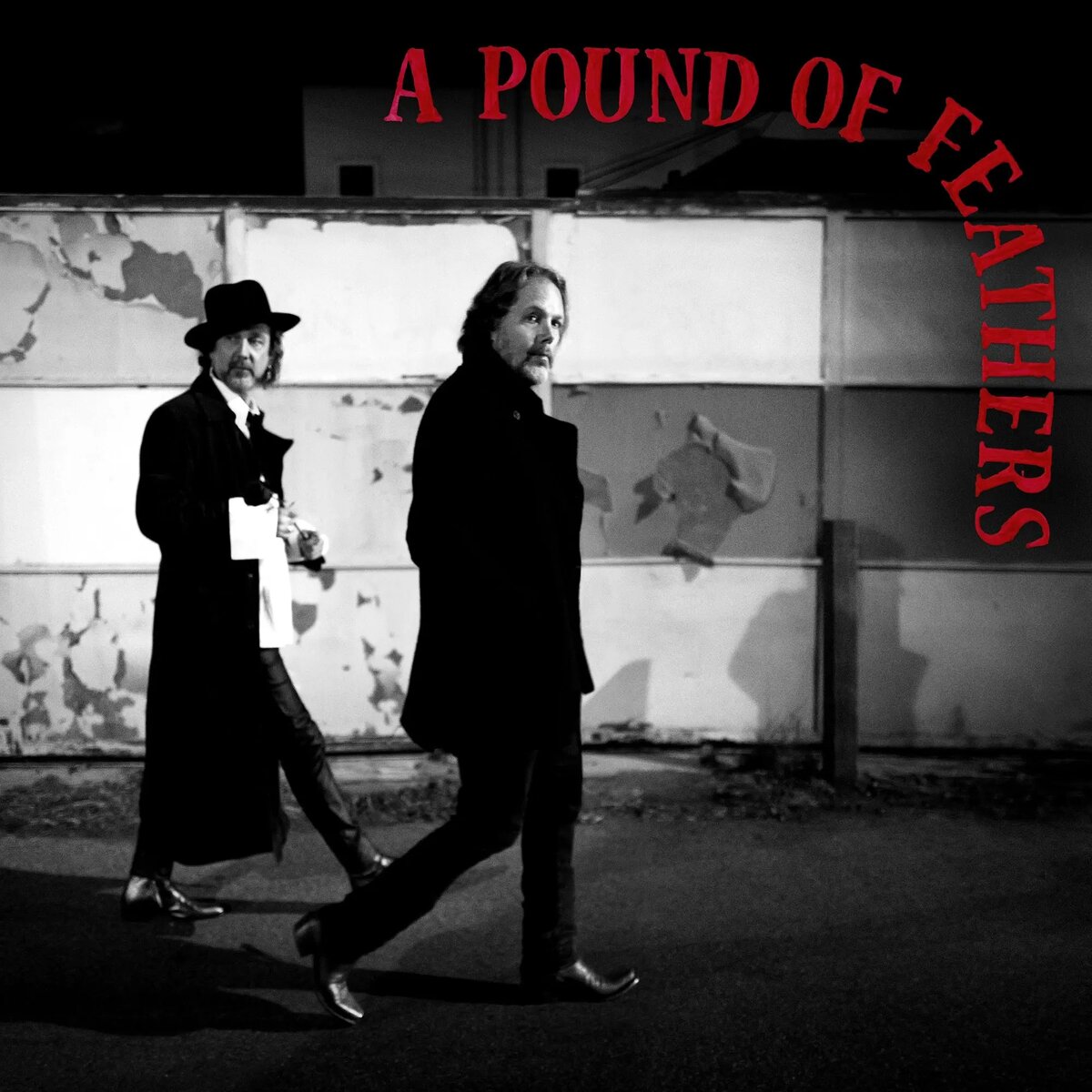 LP "A Pound Of Feathers"