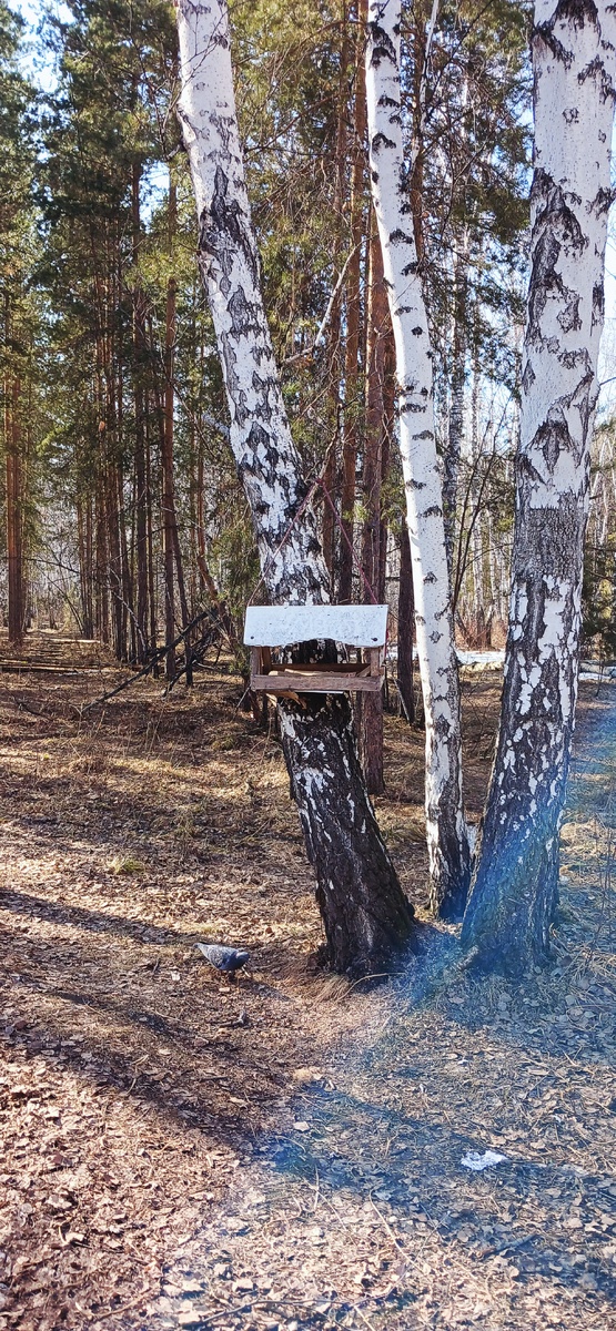 "Доброе утро, мир! Ты прекрасен!" Фото автора