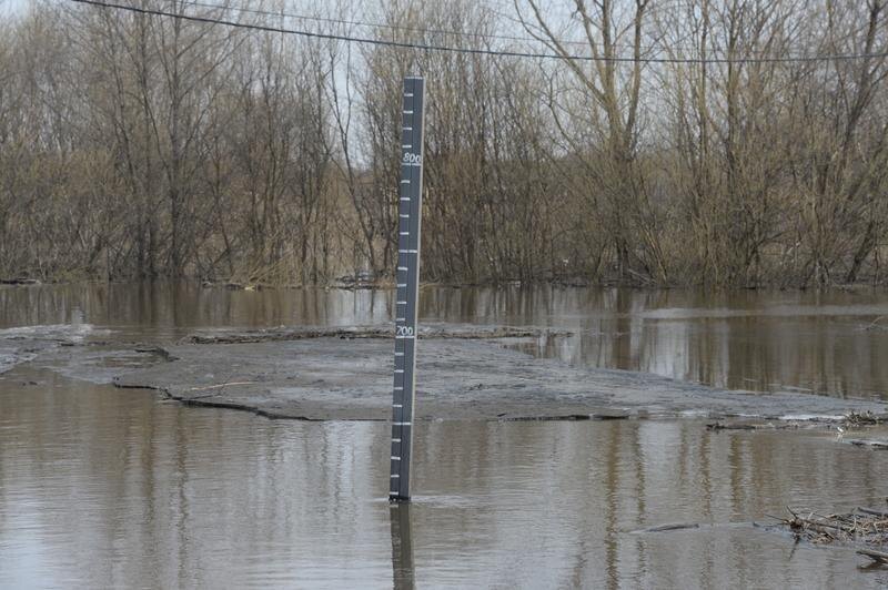 Фото: Павел Ворожцов, «Областная газета»