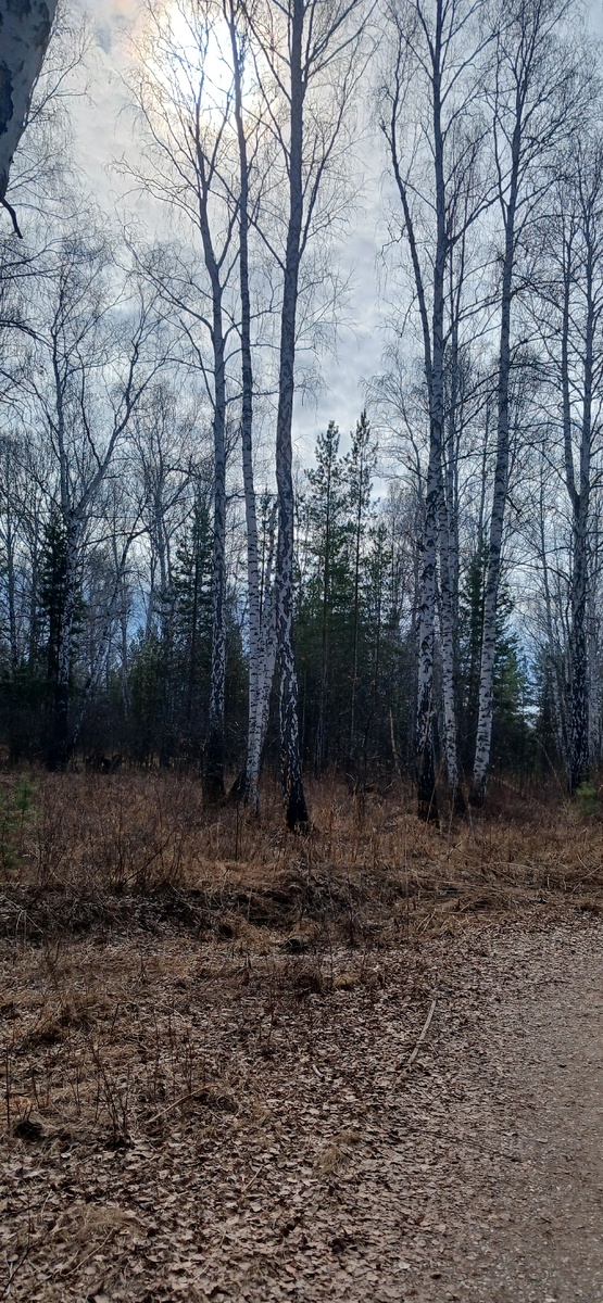 "Доброе утро, мир! Ты прекрасен!" Фото автора