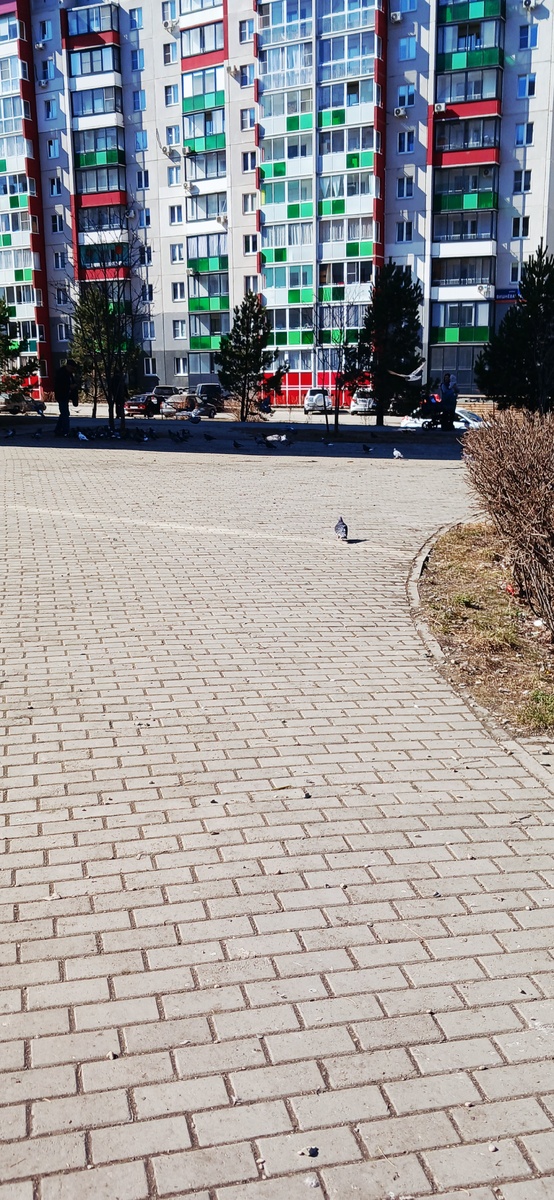 "Доброе утро, мир! Ты прекрасен!" Фото автора