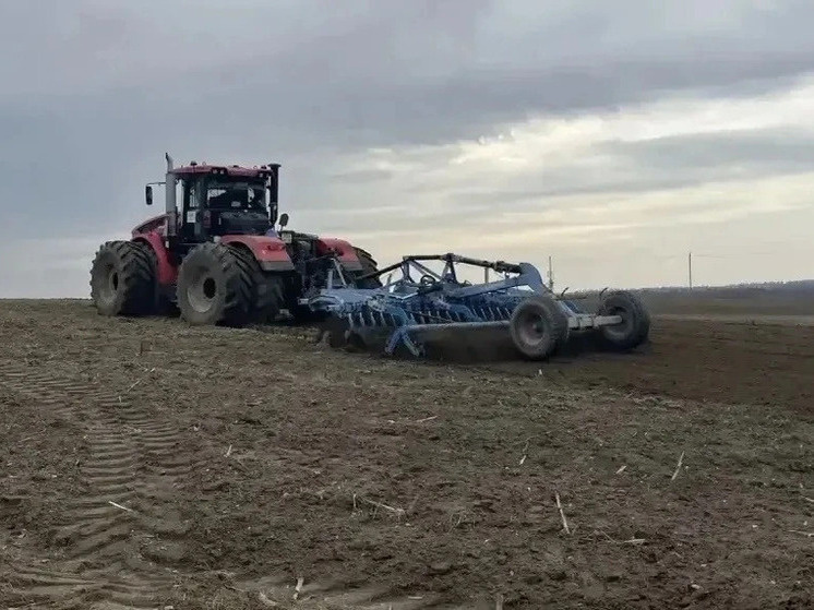     Фото: Владислав Шапша/МАХ