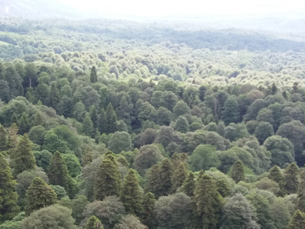 фото из личного архиива автора