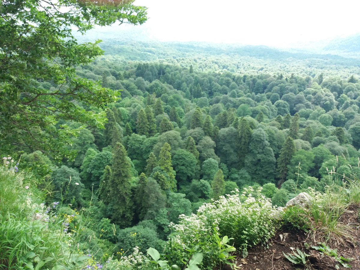 фото из личного архива автора