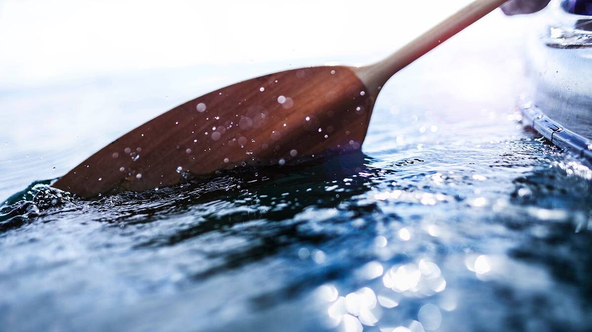    Фото: Shutterstock