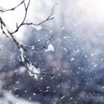    Фото: https://ru.freepik.com